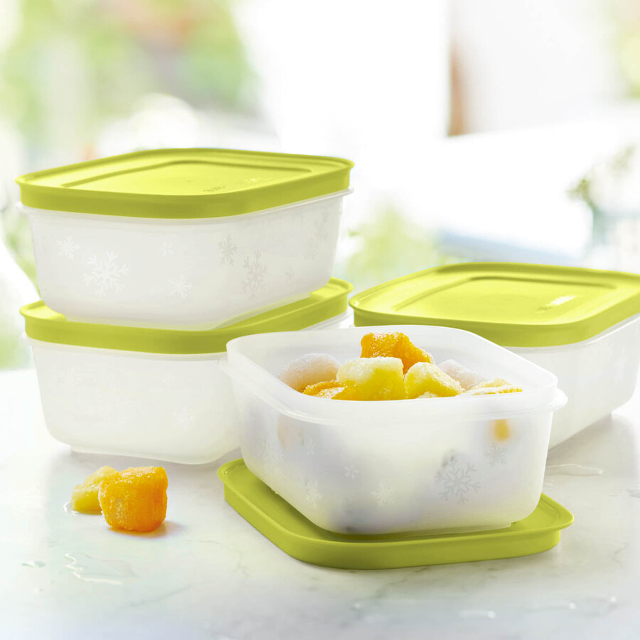 tupperware freezer mates plus kleine flache behälter 4-teiliges behälterset